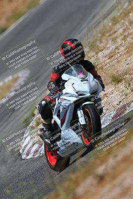 media/Jul-08-2023-2WTD (Sat) [[c8c0d2e149]]/B Group/1220pm (Turn 5)/